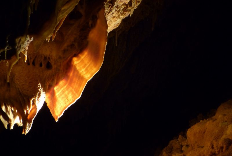 Aven Grotte Forestière. Besuchen Sie die Höhle auf eine andere Art und Weise. à Orgnac-l'Aven - 2
