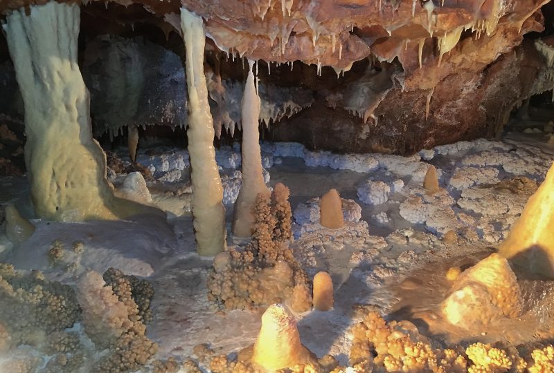 Aven Grotte Forestière. Besuchen Sie die Höhle auf eine andere Art und Weise. à Orgnac-l'Aven - 3