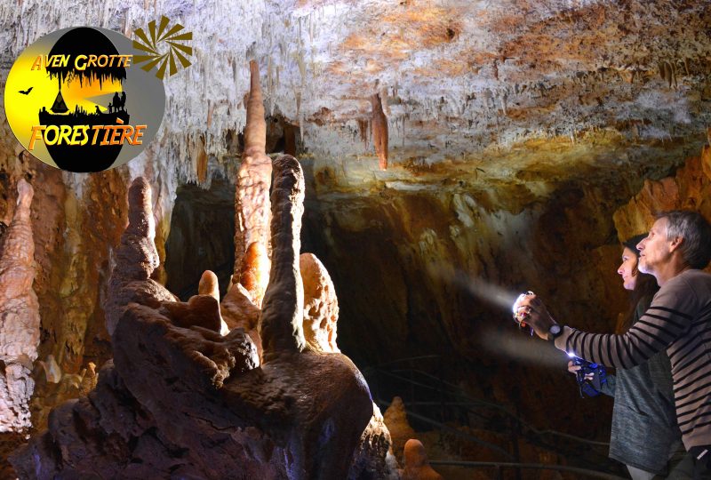 Aven Grotte Forestière. Besuchen Sie die Höhle auf eine andere Art und Weise. à Orgnac-l'Aven - 4