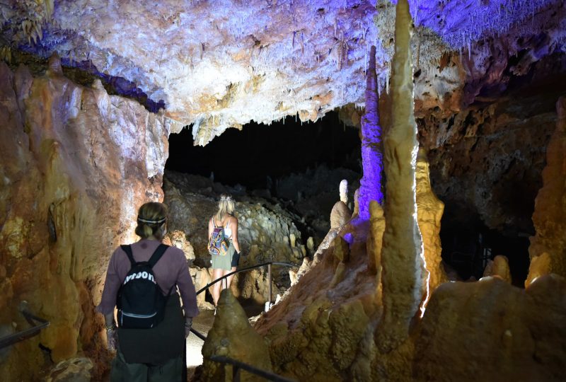 Aven Grotte Forestière. Besuchen Sie die Höhle auf eine andere Art und Weise. à Orgnac-l'Aven - 16