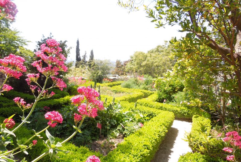 Jardin des Herbes – Jardin communal classé „Remarquable“ à La Garde-Adhémar - 3