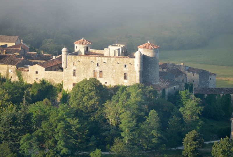 Schloss von Roure à Labastide-de-Virac - 9
