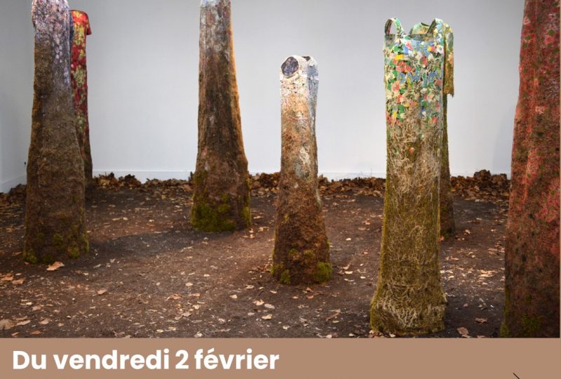 „Sortie de terre“ – Exposition de Stéphanie Cailleau à Valaurie - 0