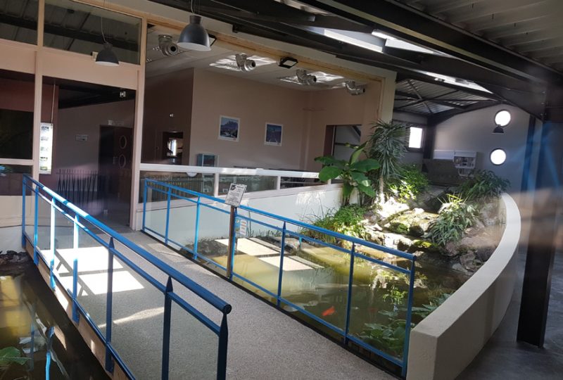 Aquarium des Tropiques à Allex - 3