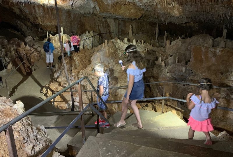 Aven Grotte Forestière. “Visitez Autrement” à Orgnac-l'Aven - 14
