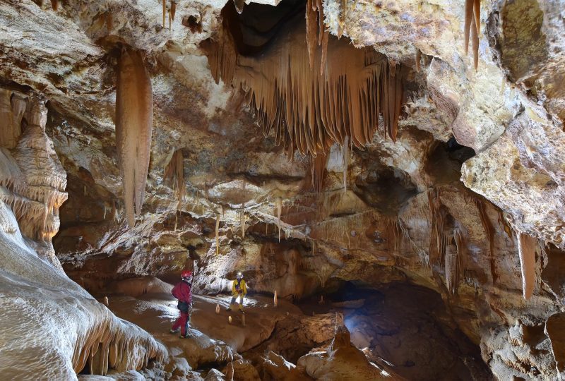 Salamandre Cave à Méjannes-le-Clap - 6
