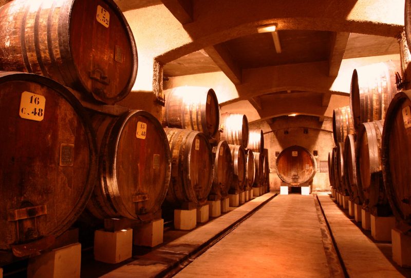 Wine cellars tour of the Cellier des Princes à Courthézon - 0