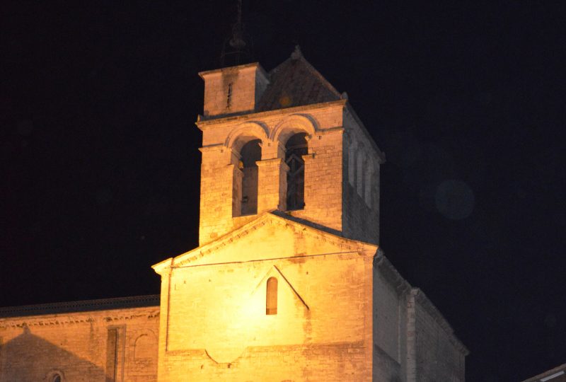 Cathédrale Notre Dame à Saint-Paul-Trois-Châteaux - 0