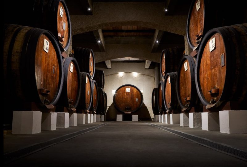 Wine cellars tour of the Cellier des Princes à Courthézon - 5