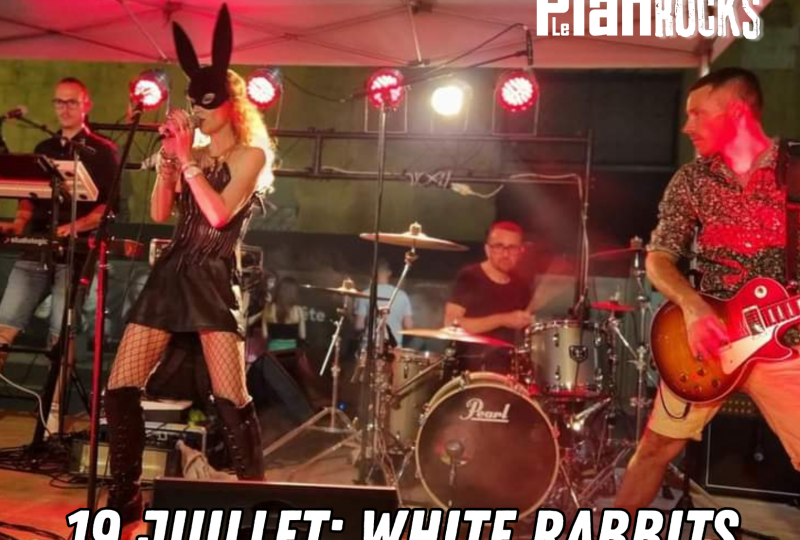 The White Rabbits à Suze-la-Rousse - 0