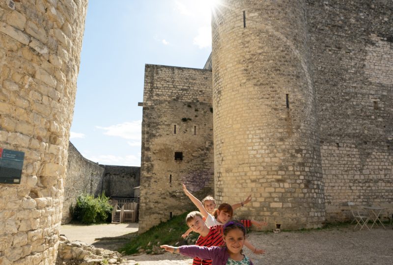 Château de Montélimar à Montélimar - 4
