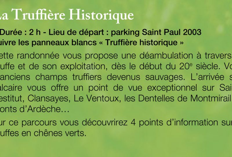La Truffière Historique à Saint-Paul-Trois-Châteaux - 0