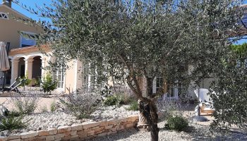 Un site où l’olivier est roi