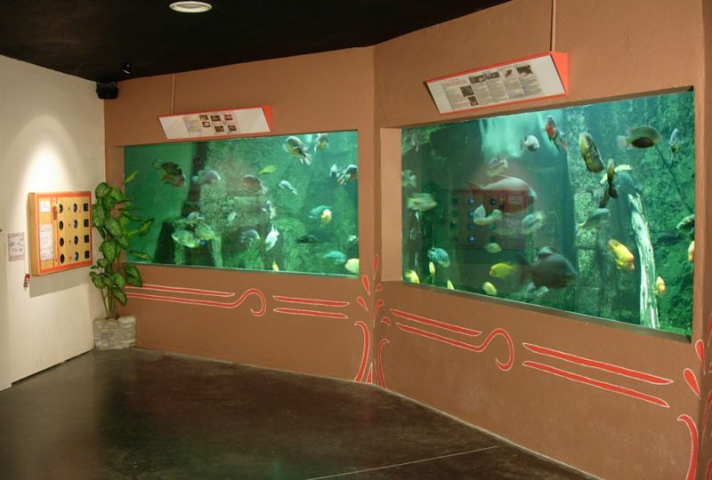 Aquarium des Tropiques à Allex - 5
