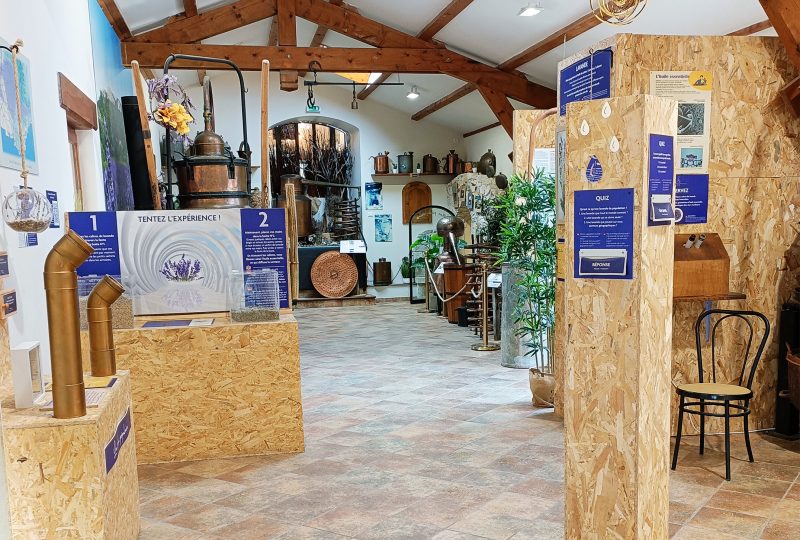 Maison de la Lavande Ardèche / Producteur-Distillateur & Musée à Saint-Remèze - 17