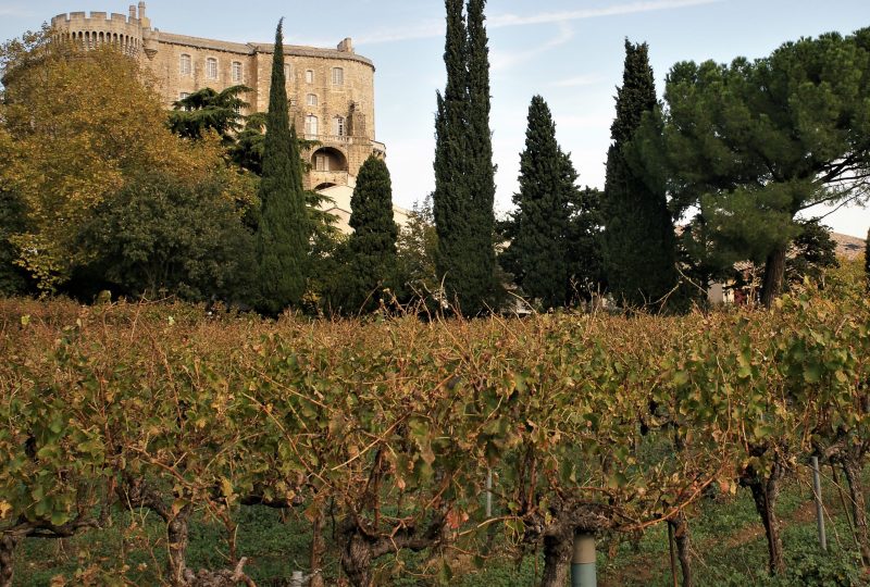 Jardin des vignes à Suze-la-Rousse - 3