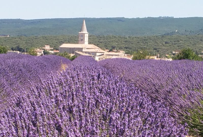 Provence Rêverie à Valréas - 1